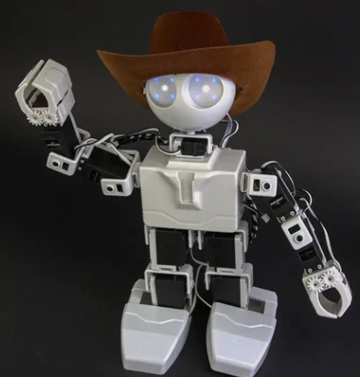 EZ-Robot JD Humanoid Robot