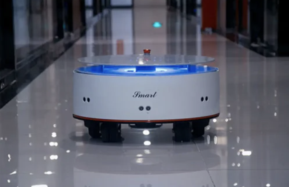 Intelligent Dual LiDAR Robot Mobile Platform