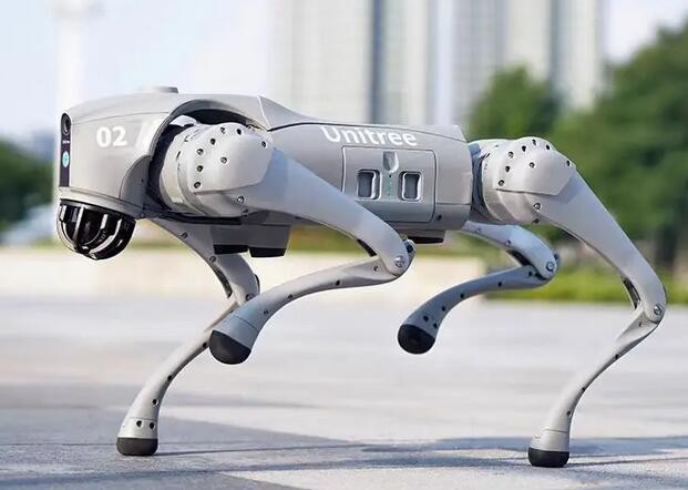 Robot Dog