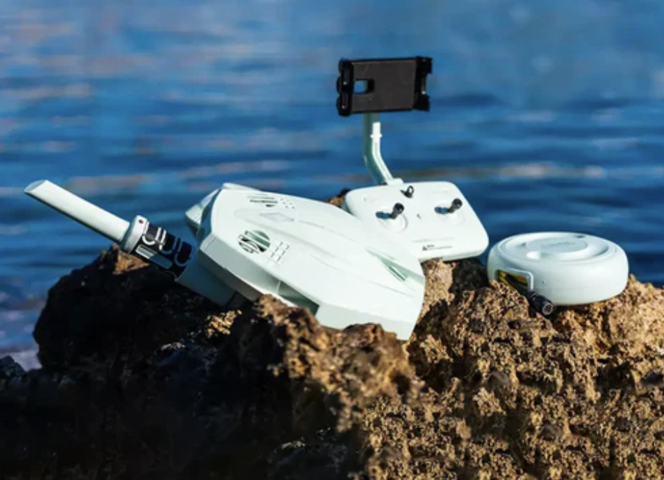 Chasing Dory Exploration (Mint Green